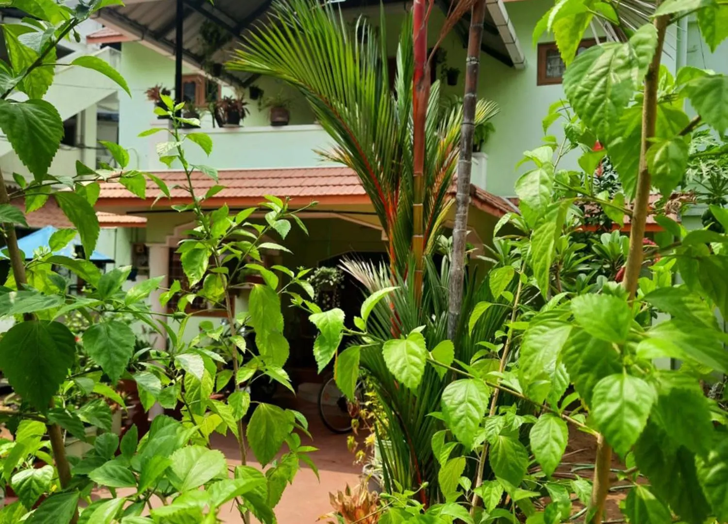 Wright Villa Kochi